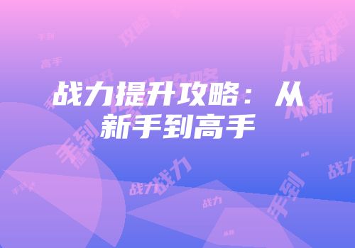 战力提升攻略:从新手到高手