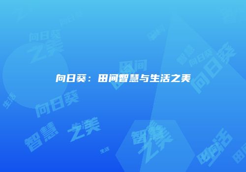 向日葵：田间智慧与生活之美