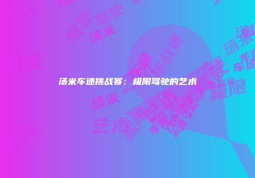 汤米车速挑战赛:极限驾驶的艺术