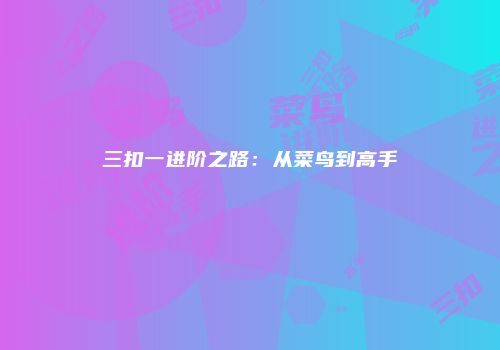 三扣一进阶之路：从菜鸟到高手