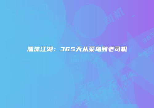 濡沫江湖：365天从菜鸟到老司机