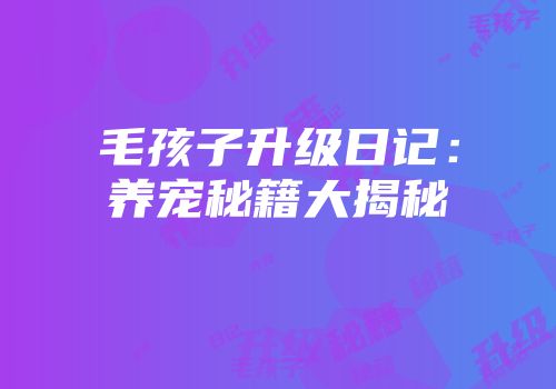 毛孩子升级日记：养宠秘籍大揭秘