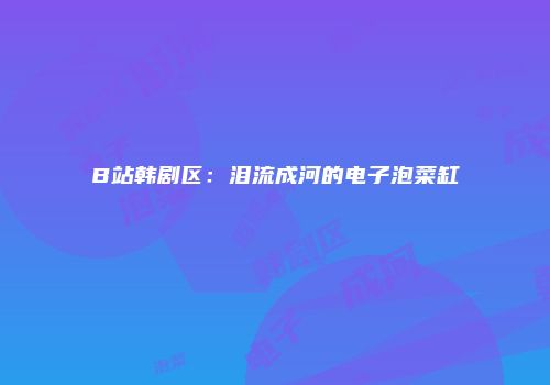 B站韩剧区：泪流成河的电子泡菜缸