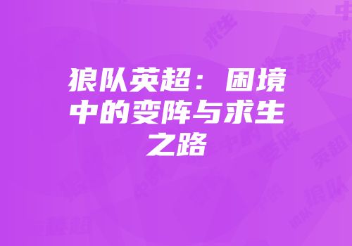 狼队英超：困境中的变阵与求生之路