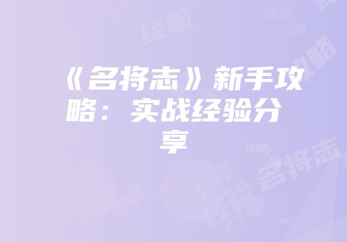 《名将志》新手攻略：实战经验分享