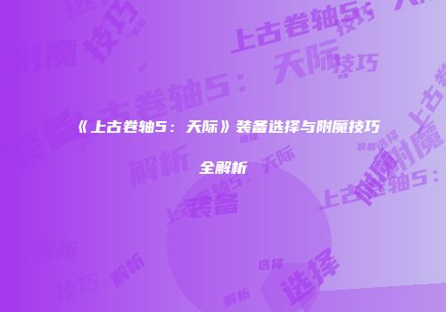 《上古卷轴5：天际》装备选择与附魔技巧全解析