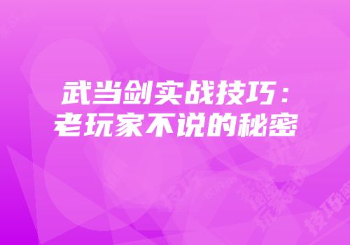 武当剑实战技巧：老玩家不说的秘密