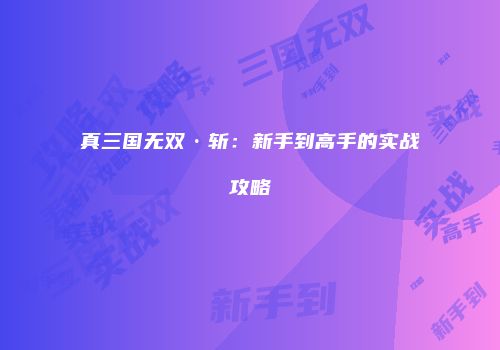 真三国无双·斩:新手到高手的实战攻略