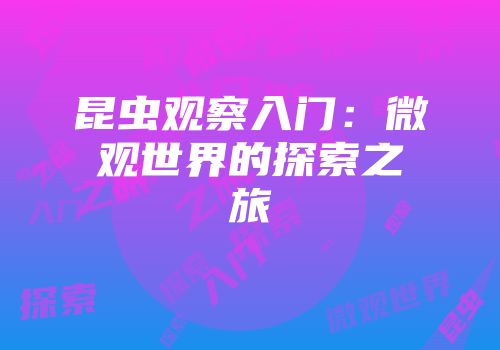 昆虫观察入门:微观世界的探索之旅