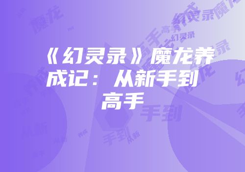 《幻灵录》魔龙养成记:从新手到高手