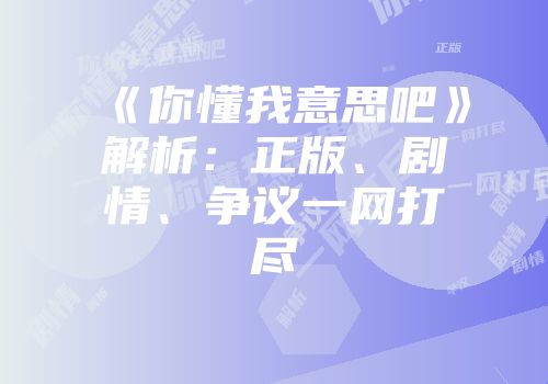 《你懂我意思吧》解析：正版、剧情、争议一网打尽