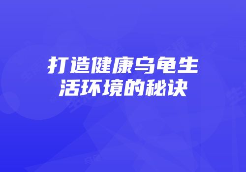打造健康乌龟生活环境的秘诀