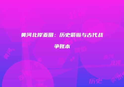 黄河北岸麦田：历史箭镞与古代战争账本