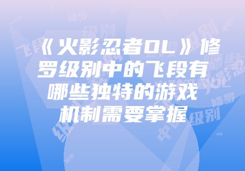 《火影忍者OL》修罗级别中的飞段有哪些独特的游戏机制需要掌握
