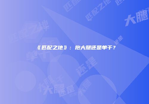 《匹配之地》：抱大腿还是单干？