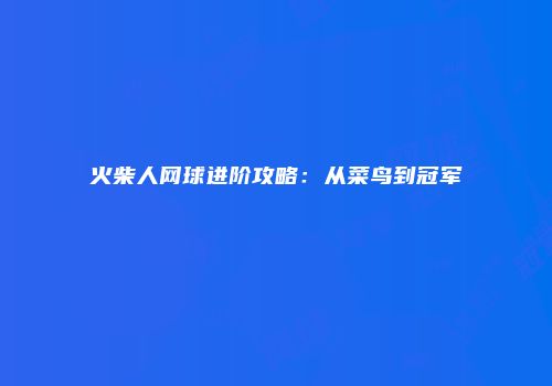 火柴人网球进阶攻略：从菜鸟到冠军