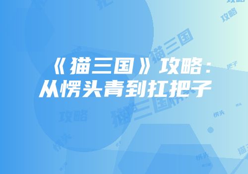 《猫三国》攻略：从愣头青到扛把子
