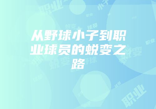 从野球小子到职业球员的蜕变之路