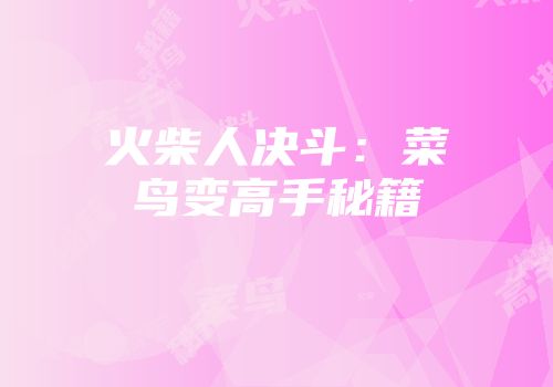 火柴人决斗：菜鸟变高手秘籍