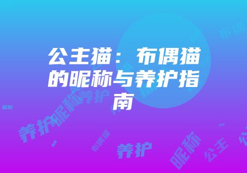 公主猫：布偶猫的昵称与养护指南