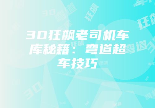 3D狂飙老司机车库秘籍：弯道超车技巧