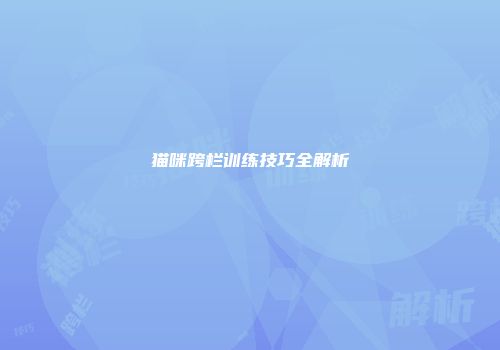 猫咪跨栏训练技巧全解析