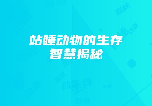 站睡动物的生存智慧揭秘