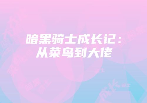 暗黑骑士成长记：从菜鸟到大佬