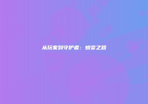 从玩家到守护者：蜕变之路