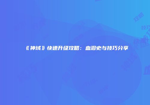 《神域》快速升级攻略：血泪史与技巧分享