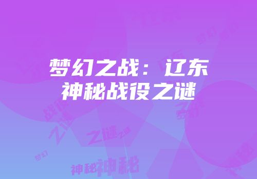 梦幻之战：辽东神秘战役之谜