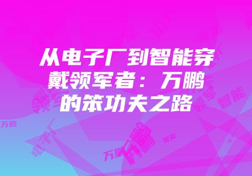 从电子厂到智能穿戴领军者：万鹏的笨功夫之路