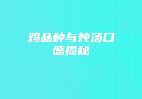 鸡品种与炖汤口感揭秘