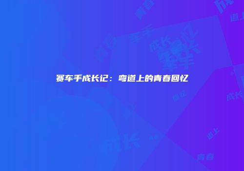 赛车手成长记：弯道上的青春回忆
